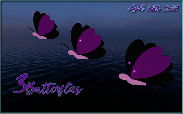 3butterflies.jpg