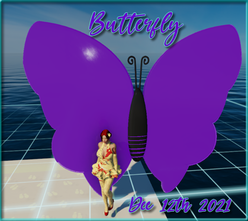 Butterfly.png