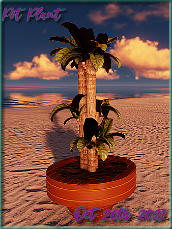 PotPlant.png