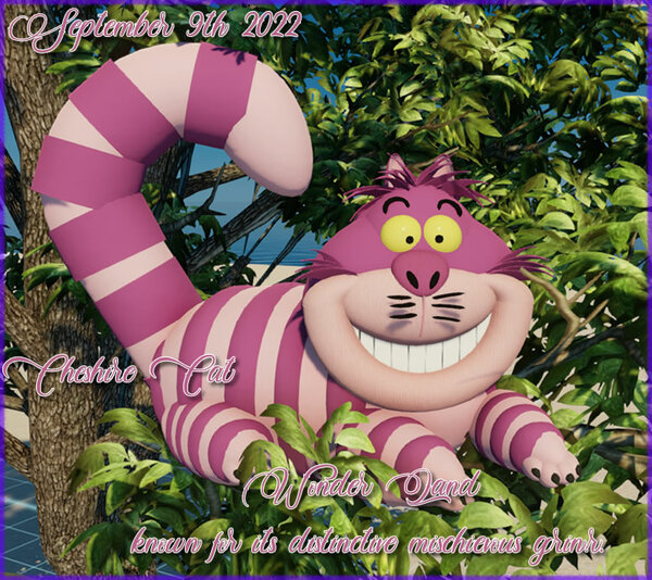 Cheshire Cat.jpg